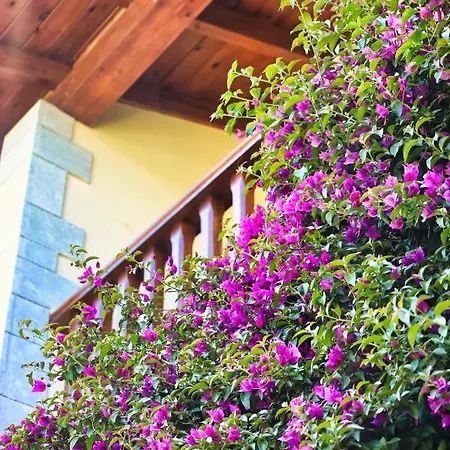 Casa La Palmera Villa Linares (Asturias)